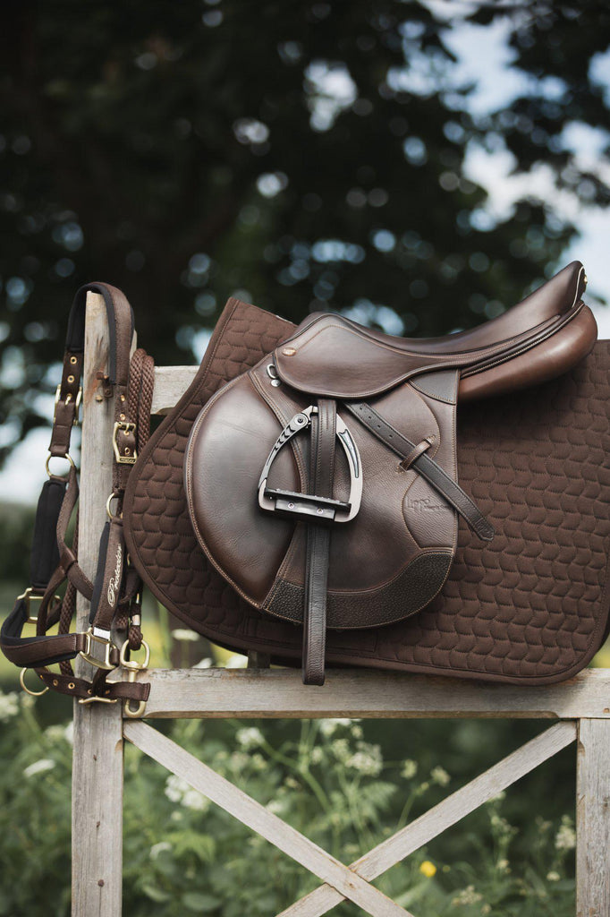 Comfort_collection_jump