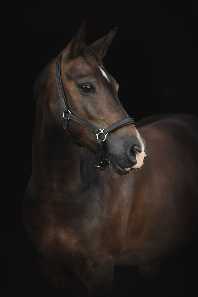 24286_1B6A6168_b_v_06