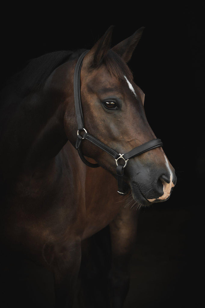 24286_1B6A6182_b_v_06