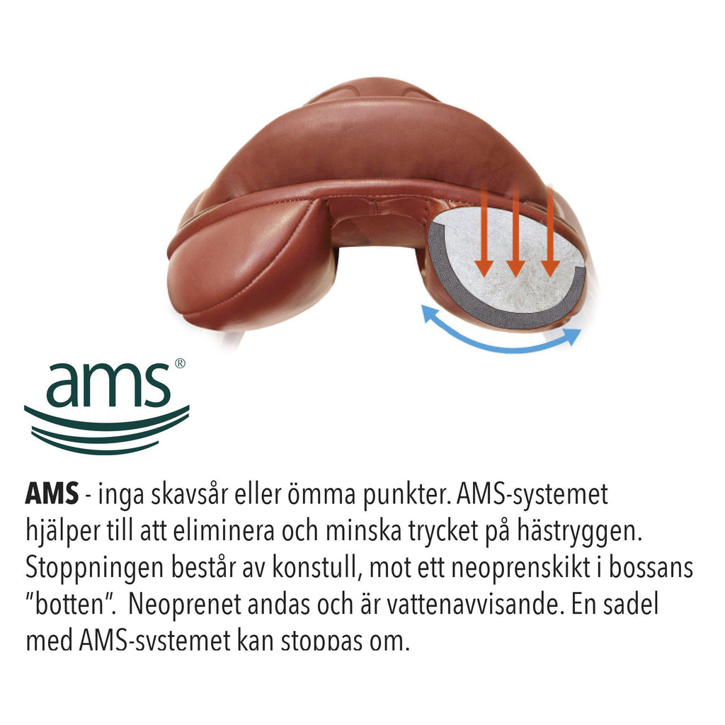 ams